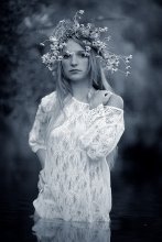 Portrait of a wreath / ***