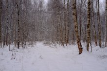 Hibernation / **************