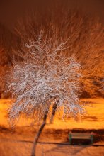 Winter / *********