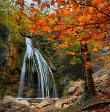 Colorful and lush year! / ***