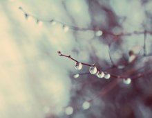 morning of 31 dnkabrya) / ******