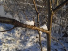 Well, hello winter! / *********