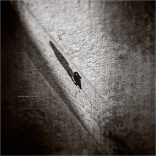 [Morgen 01 | 01 | 12] / ***