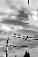 Wire / ***