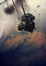 Reflection / ......