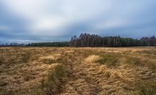 Waiting for snow / 1.01.2012
