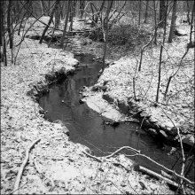 Noch zaghaft WINTER ... / ***