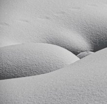 Forms / ***