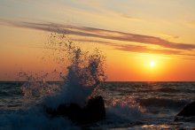 Shock waves / ***