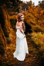 Walk in the fairy forest / ***