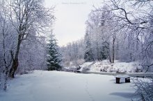 And the silence / ***