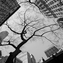 City / ***