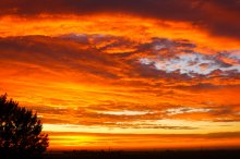 Evening glow / ***