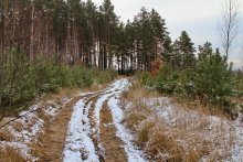 On the first snow. / *****
