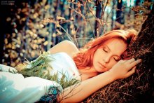 Sleep in the woods / *****