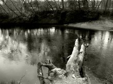 Crossing ...? / *****