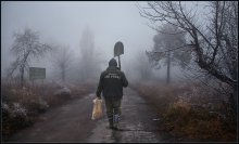 The roads that we choose .. / ***