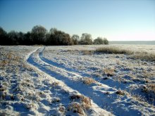 Winter road / ***