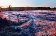 road / ***
