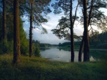 Our evening / ***