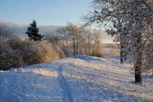about a day of winter .... / ********
