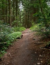 Footpath / *****