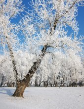 White on blue / ...
