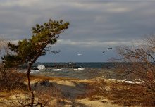 Northern breakwater / ***