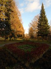 It was a normal fall day / ***
