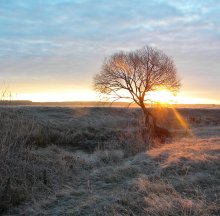 Die goldene Sonnenstrahl / ***