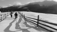 road home / ***