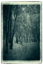 Winter / **************