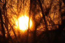 Dawn makes his way / ***