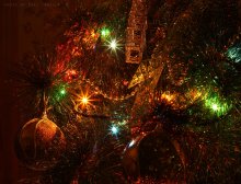 Christmas Magic / ***