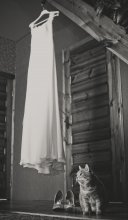 Kote / ***