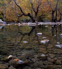 Autumn has come to Antalya. / ***