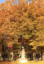 Autumn / ***