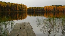 so want to fall ........ / ***