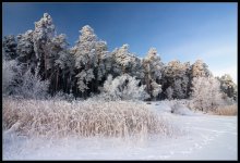 Lay the snows of yesteryear / ***