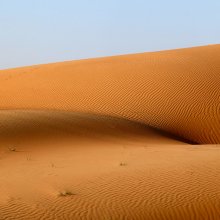 Exciting view of the desert, or the old vulgarian / ***