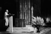 In der Dämmerung von Notre - Dame 0,2 / ***