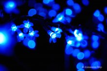 Night flashlights / ***