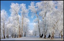 Märchen vom Winter / ...