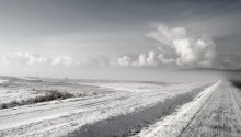 of fog / *******