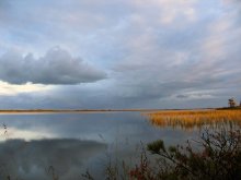 Lake in the north of Sakhalin Island / ***