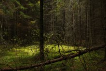 In den meisten / ************