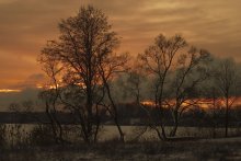 Frost at night / ***