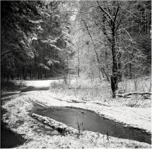 first day of winter in the new year / ***