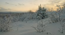 January evening / ***