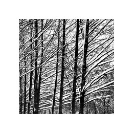 winter pattern 2 / ///////